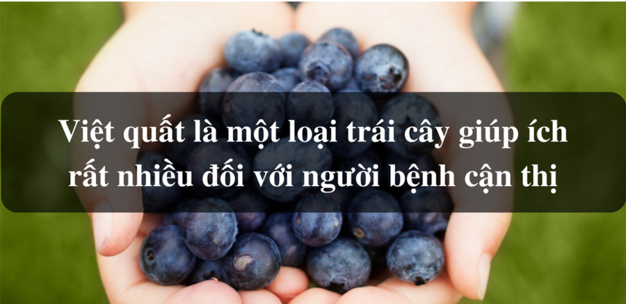 Quả việt quất có tác dụng tăng cường thị lực