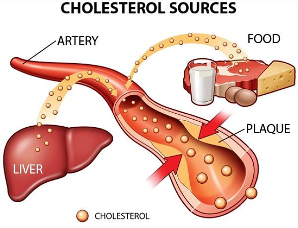 Quả việt quất giúp hạ Cholesterol